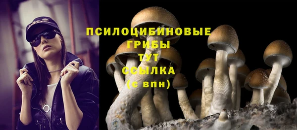 бошки Алексин