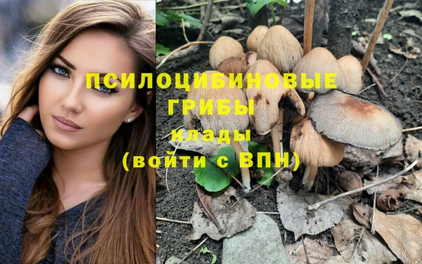 прущие крисы Алзамай