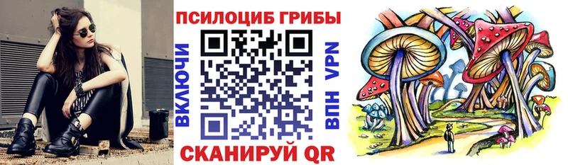 дарнет шоп  kraken как зайти  Галлюциногенные грибы Psilocybine cubensis  Алапаевск 